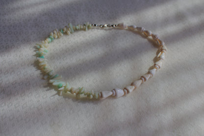 Shell x Coral beads