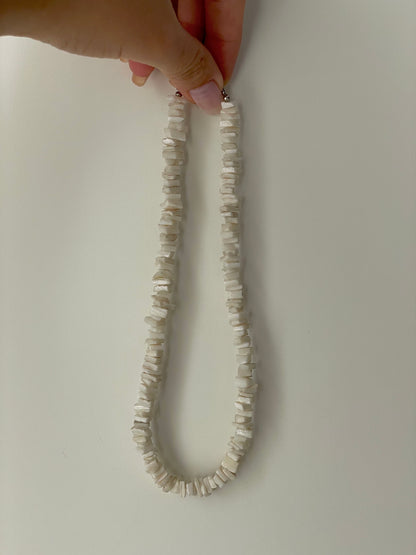 Seashell